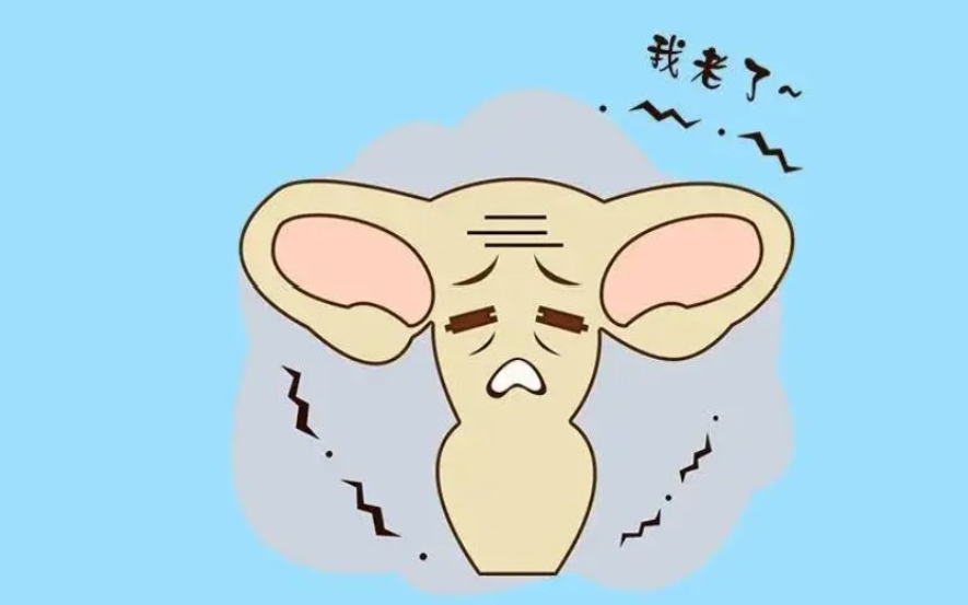 44歲卵巢早衰怎麼治療可以恢復卵巢功能呢？